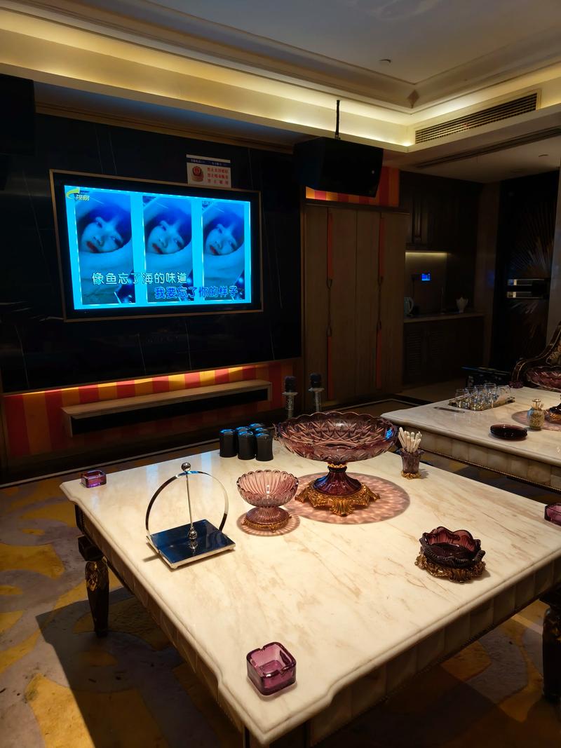 成都商务ktv优选商务ktv订房服务-蒲江县ktv预订